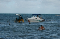 dsc_0323.JPG