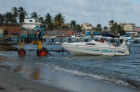 dsc_0324.JPG