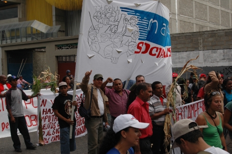 dsc_0479.JPG